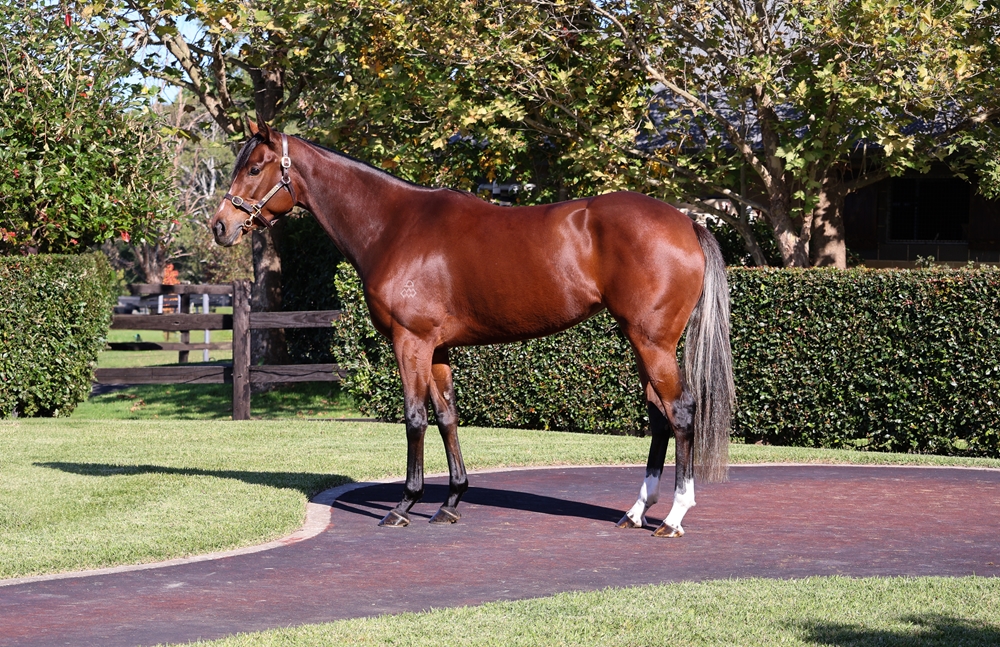 Madam Rupee (AUS) - Image 1