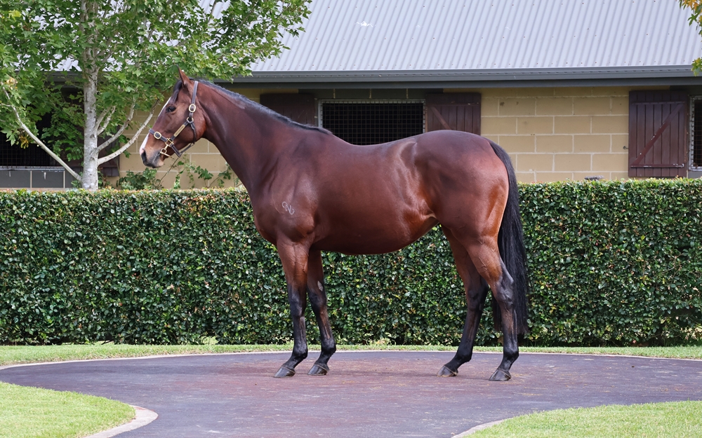 Healing Oasis (FR) - Image 1