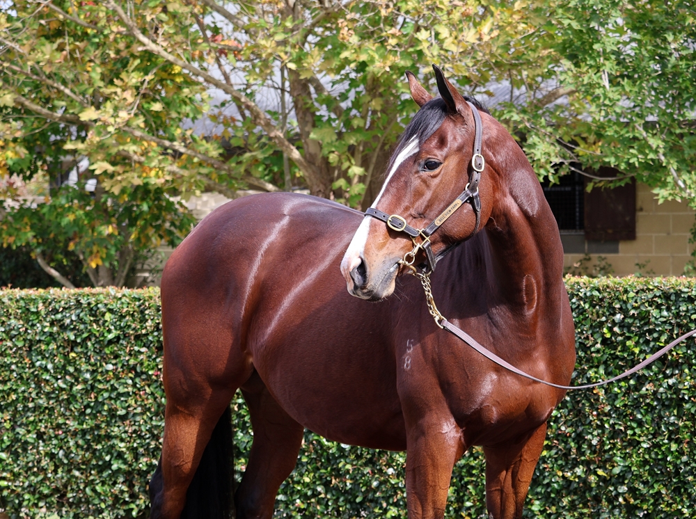 Healing Oasis (FR) - Image 2