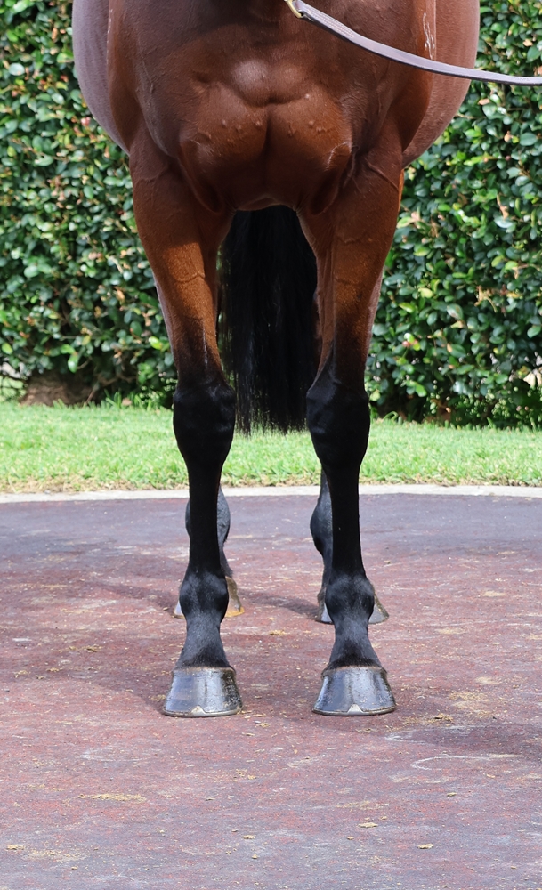 Healing Oasis (FR) - Image 3