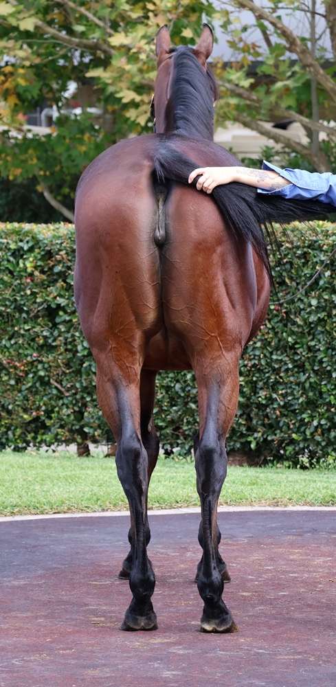 Healing Oasis (FR) - Image 4