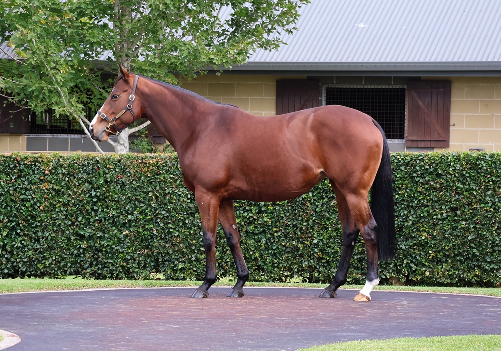 Ladybelucky (USA) - Image 1