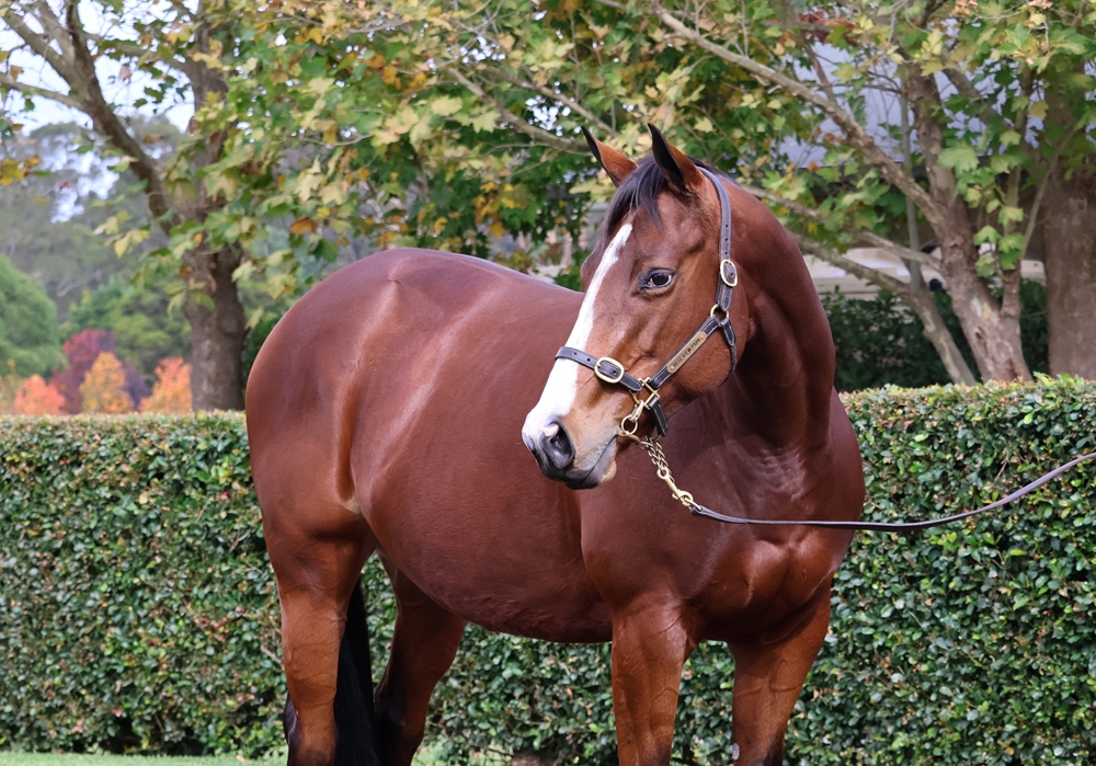 Ladybelucky (USA) - Image 2