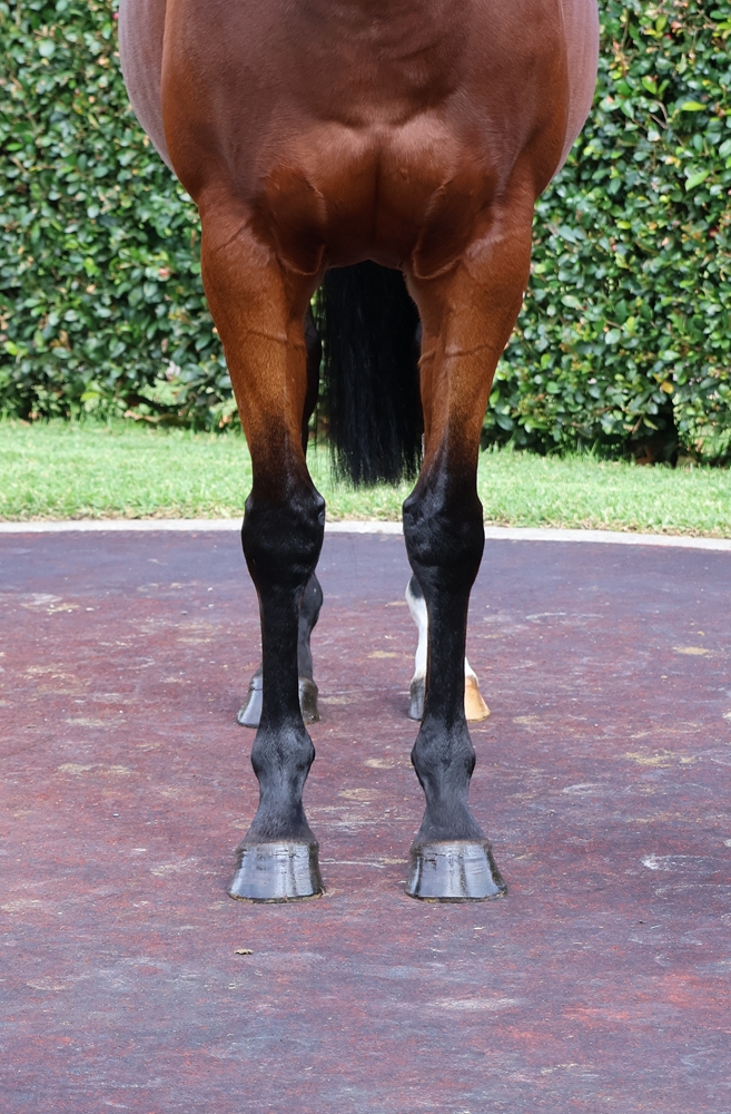 Ladybelucky (USA) - Image 3