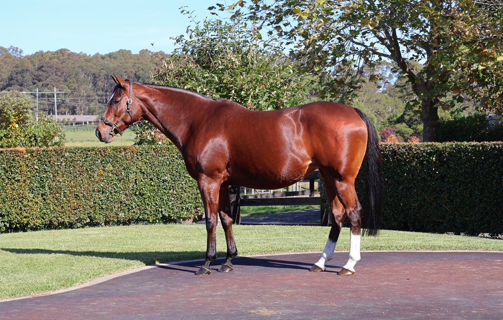 Social Status (GB) - Image 1