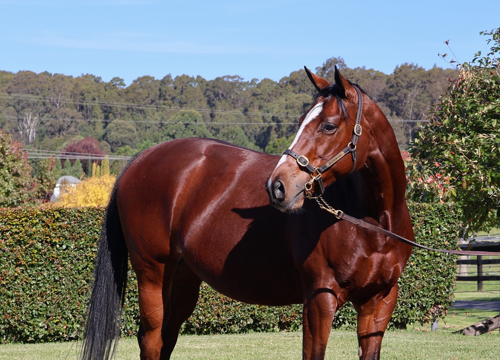 Social Status (GB) - Image 2