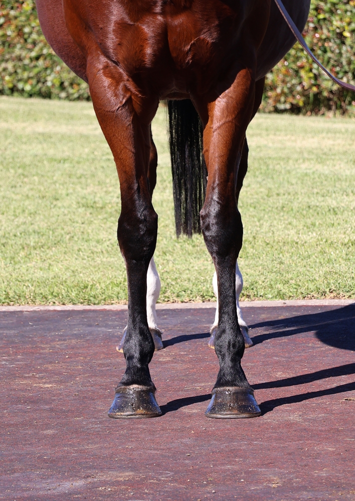 Social Status (GB) - Image 3