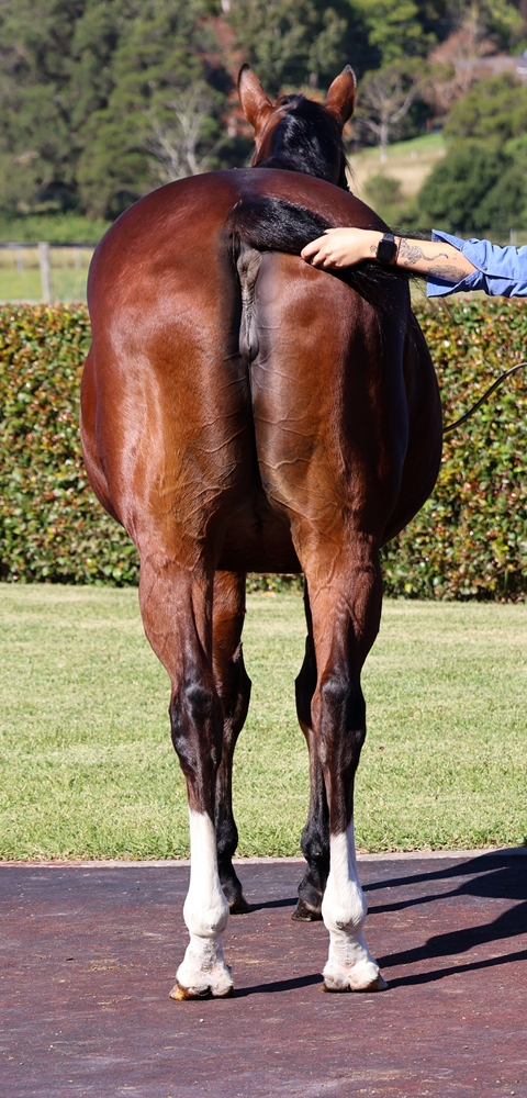 Social Status (GB) - Image 4