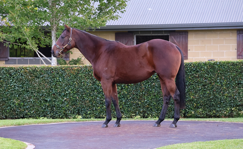 Sweet Baby Boom (AUS) - Image 1