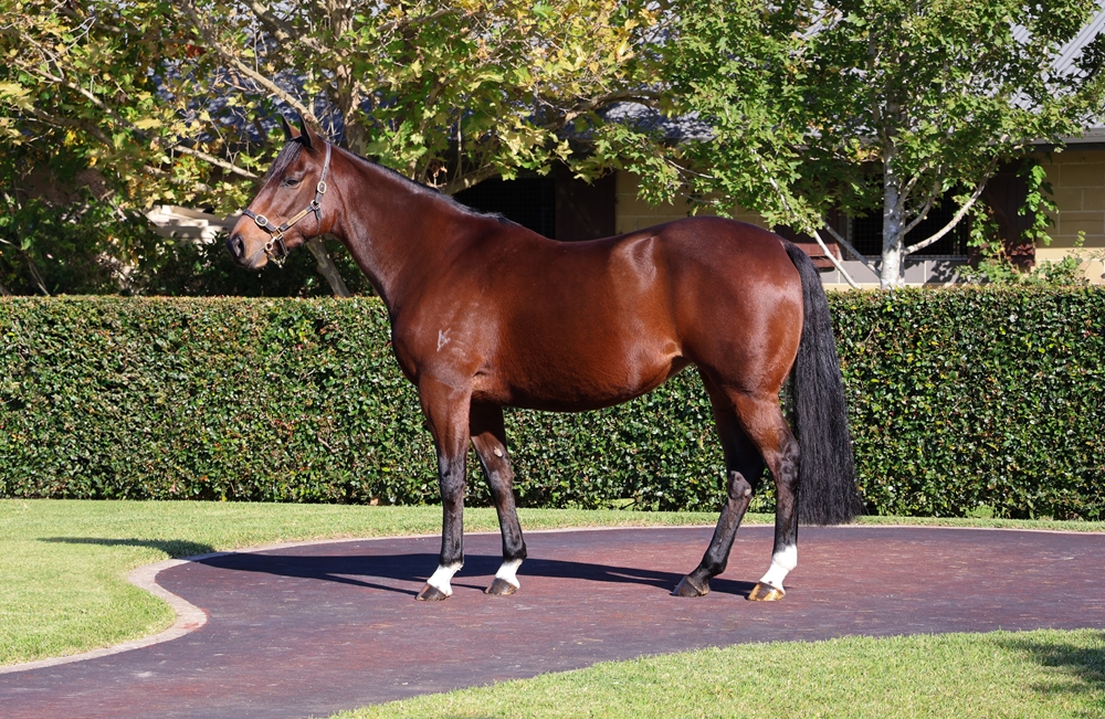 Zelta (AUS) - Image 1