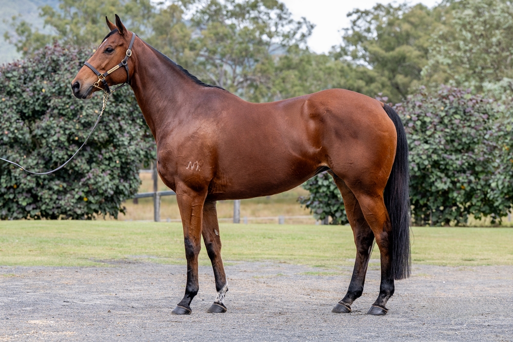 Oh Mona (AUS) - Image 1