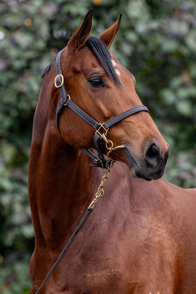 Oh Mona (AUS) - Image 2