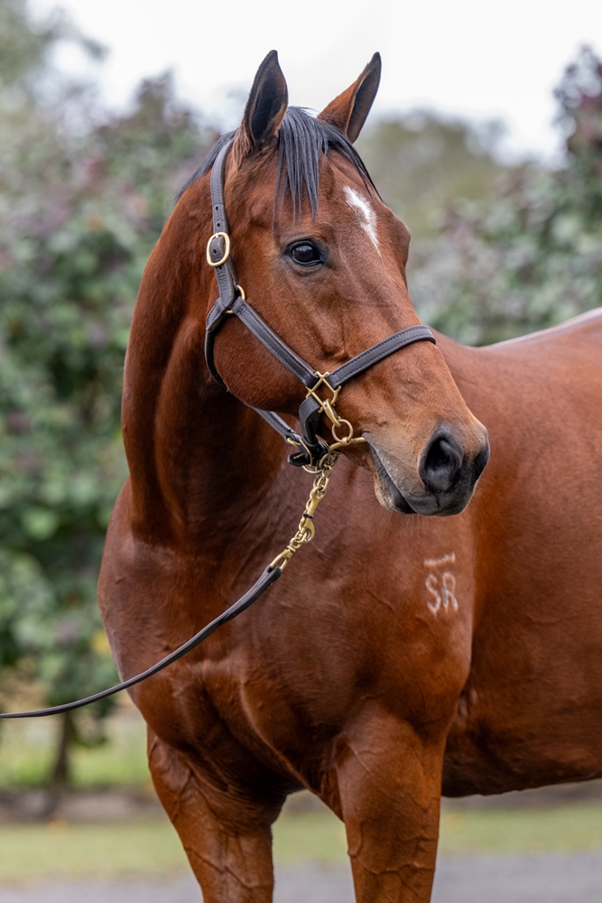 Kanga's Eye (AUS) - Image 2