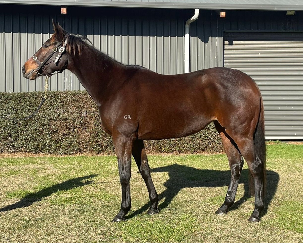 Served Cold (AUS) - Image 1