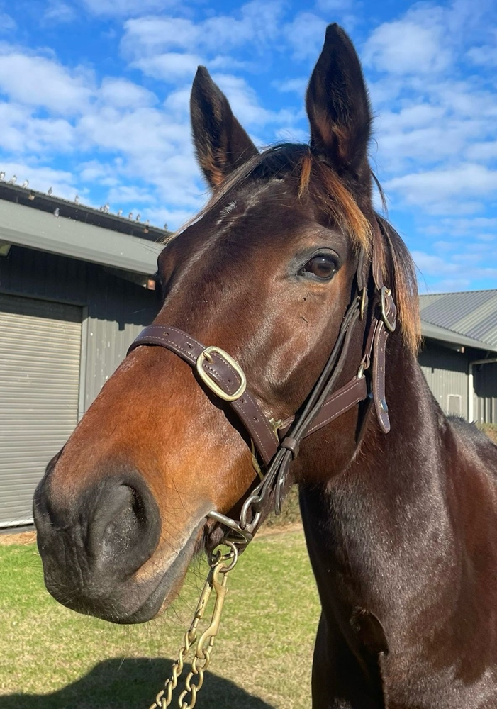 Served Cold (AUS) - Image 2