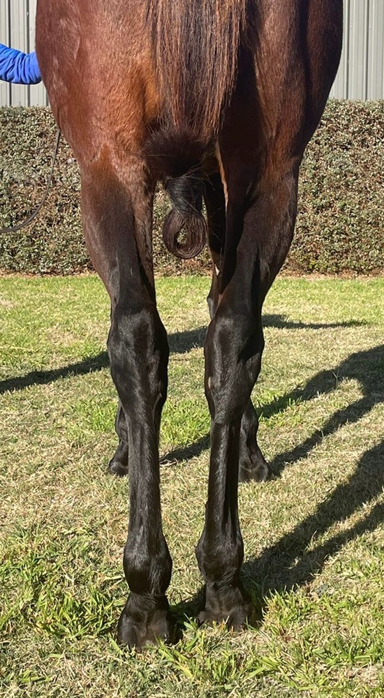 Served Cold (AUS) - Image 4