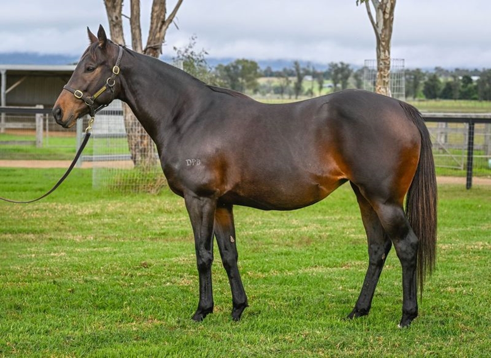 Ben Raining (AUS) - Image 1