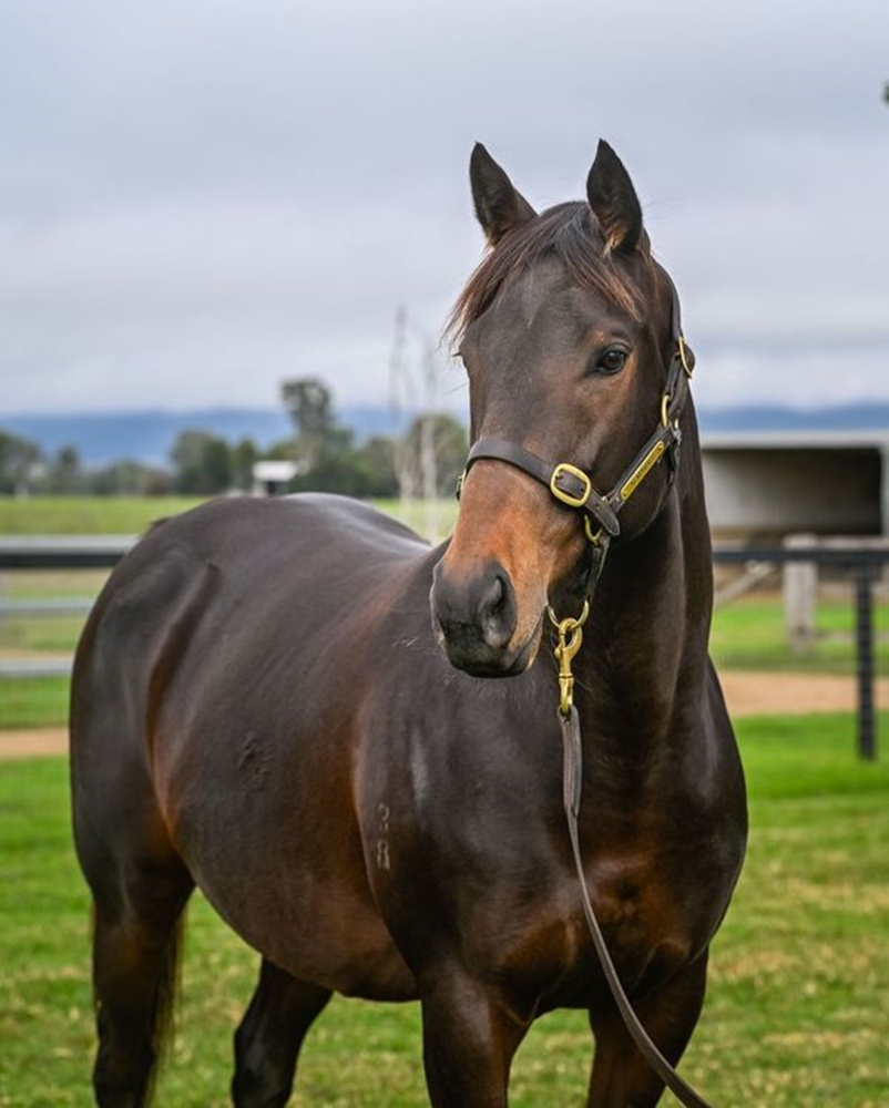 Ben Raining (AUS) - Image 2