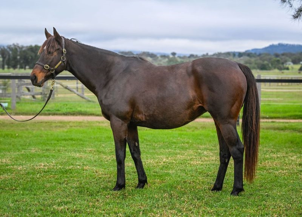 Cadet Roni (USA) - Image 1