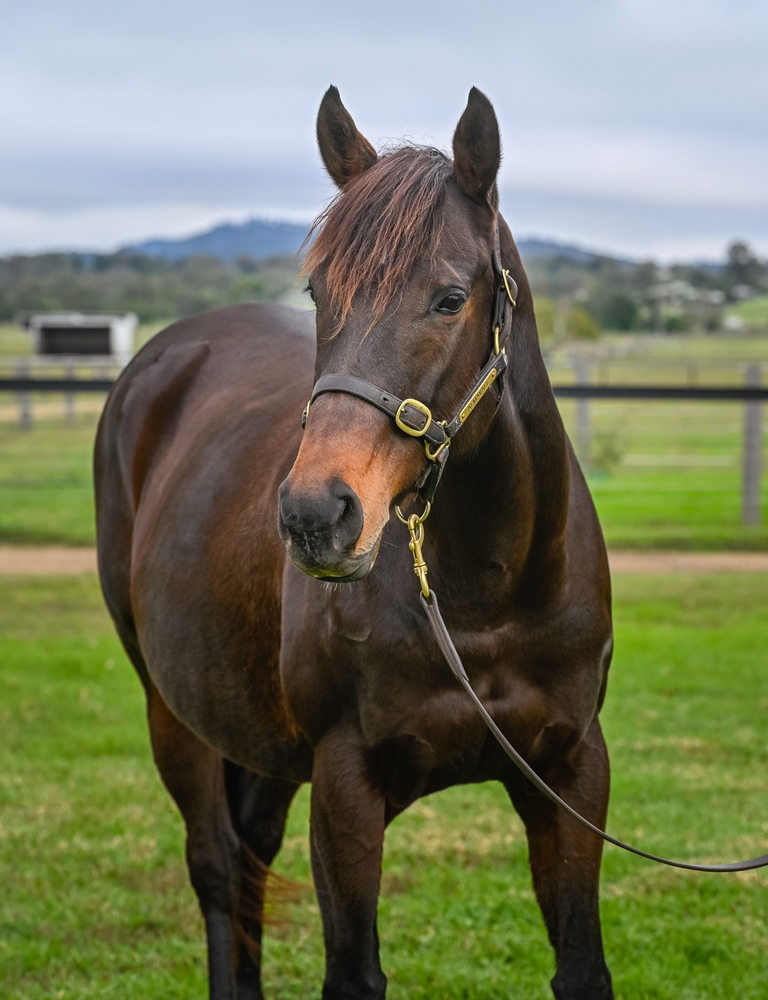 Cadet Roni (USA) - Image 2