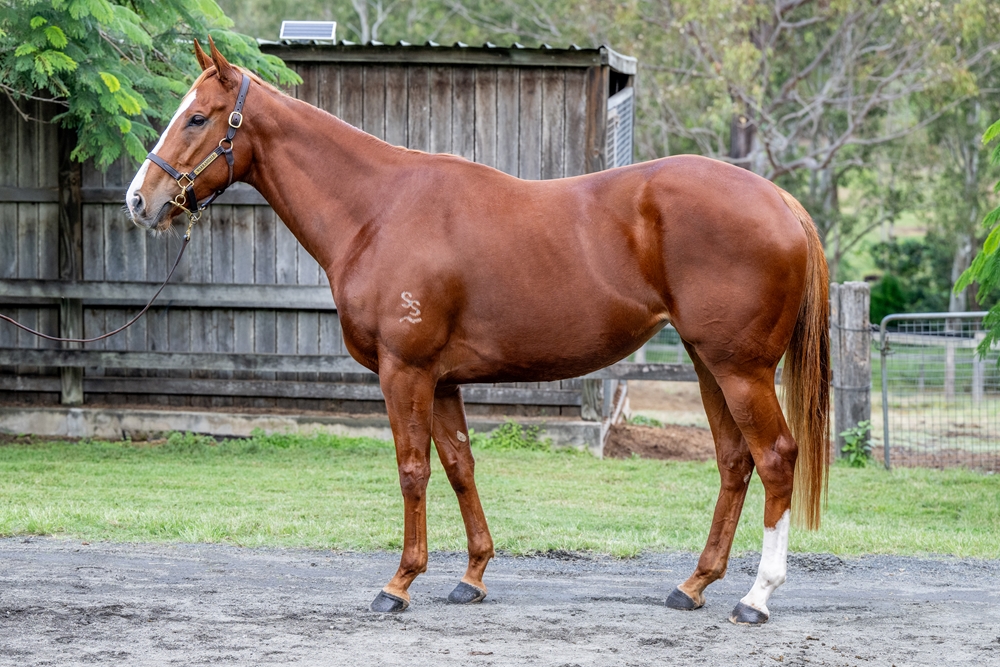 Single Benefactor (AUS) - Image 1