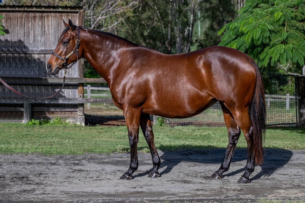 Centro Storico (AUS) - Image 1