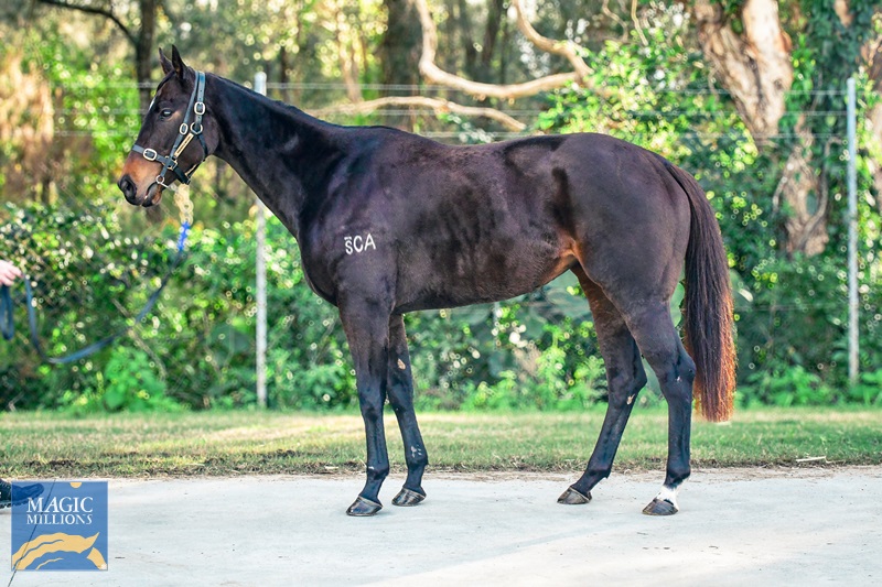 DJ1_9058.jpg - Image 1