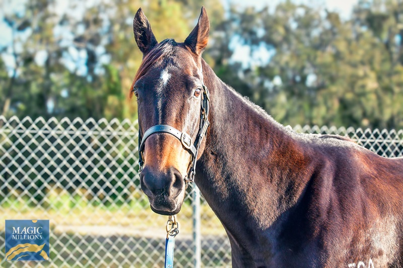 DJ1_9112.jpg - Image 2