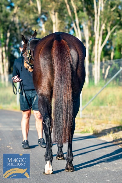 DJ1_9130.jpg - Image 3