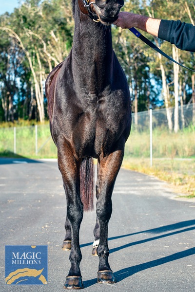 DJ1_9138.jpg - Image 4