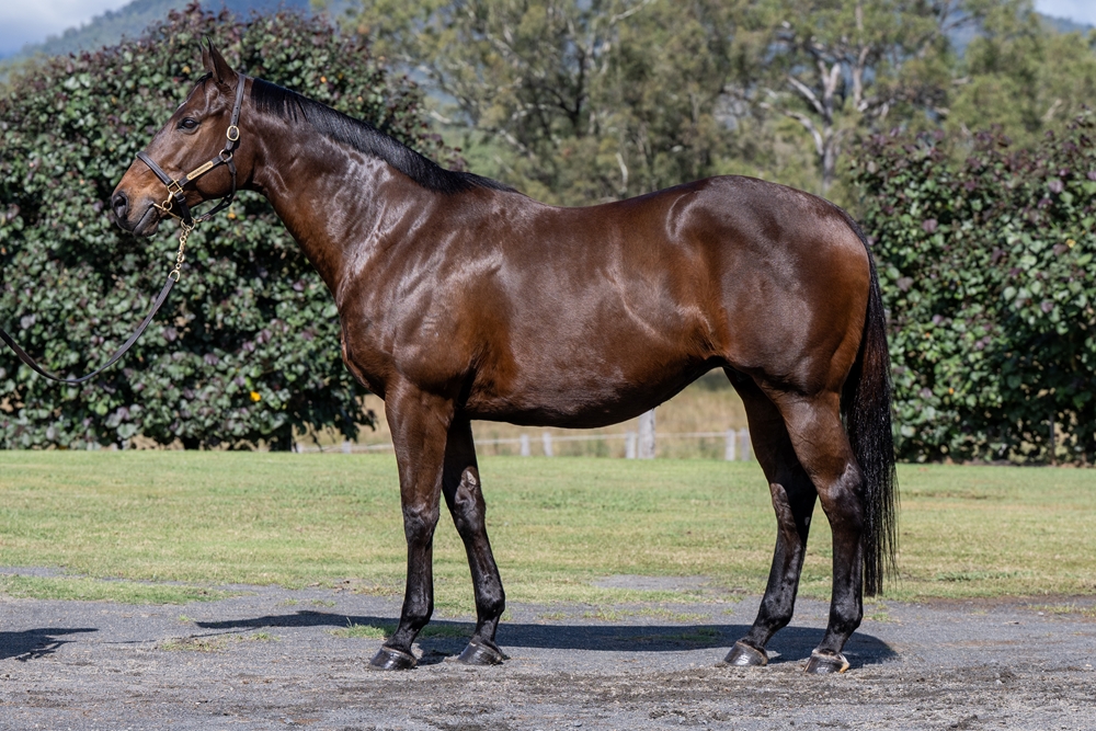 Pellegrina (AUS) - Image 1