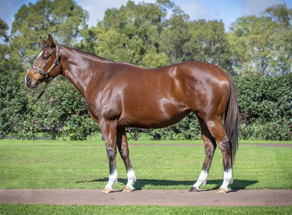 Jyoti (AUS) - Image 1