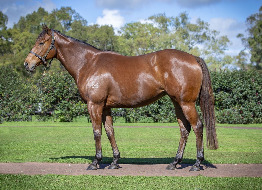 River Rose (JPN) - Image 1