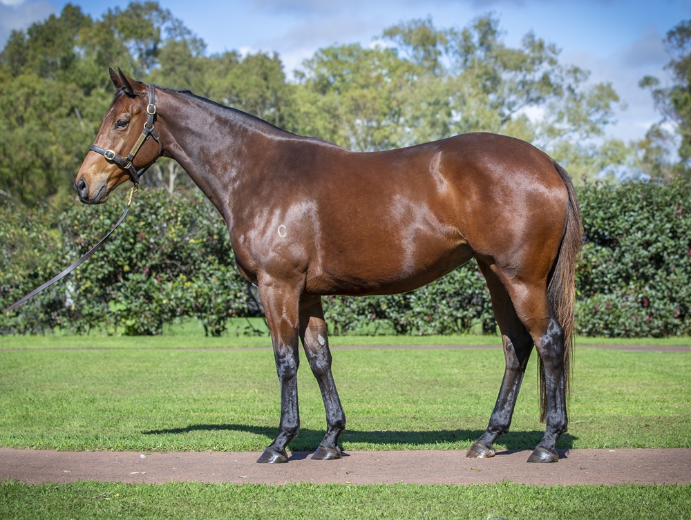 Time to Chat (AUS) - Image 1