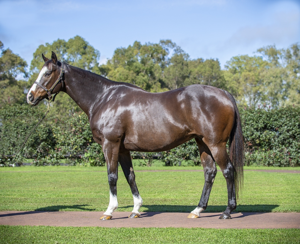 Almighty Girl (AUS) - Image 1