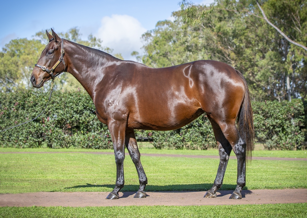 Bay of Kiel (AUS) - Image 1
