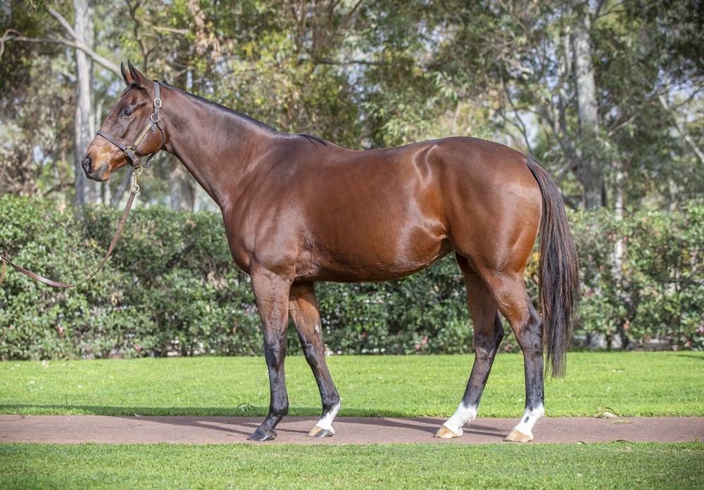 Dubai Blue (USA) - Image 1