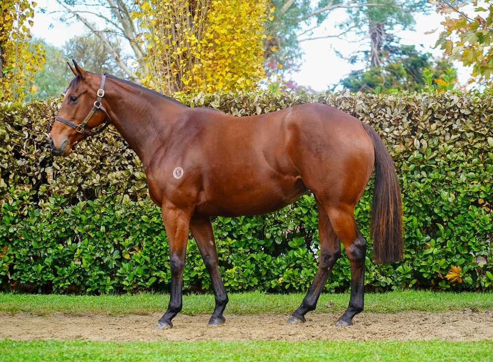 Perfect Girl (AUS) - Image 1