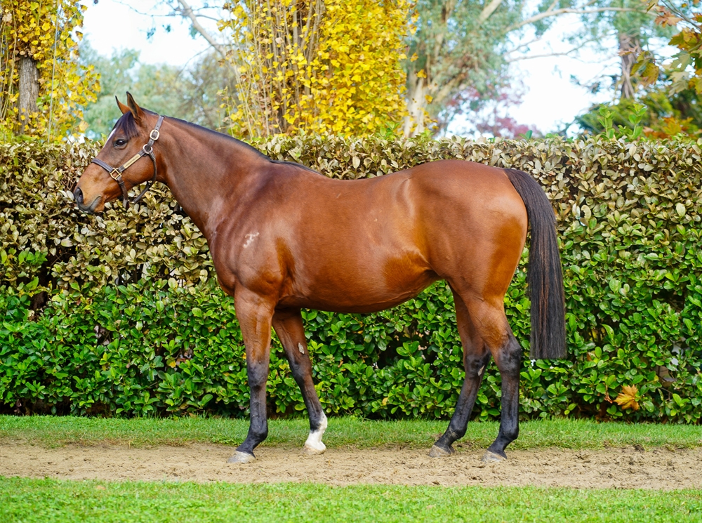 Alana's Party (AUS) - Image 1