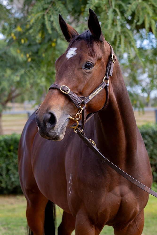 Sebring Girl (AUS) - Image 2