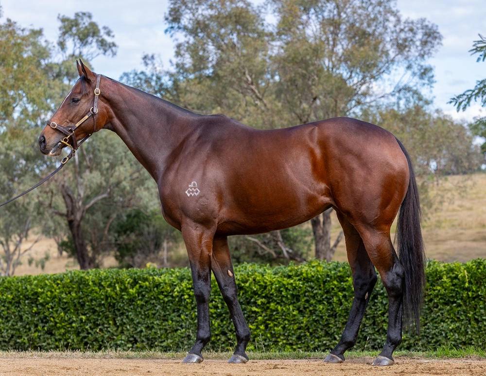 Salisano (AUS) - Image 1