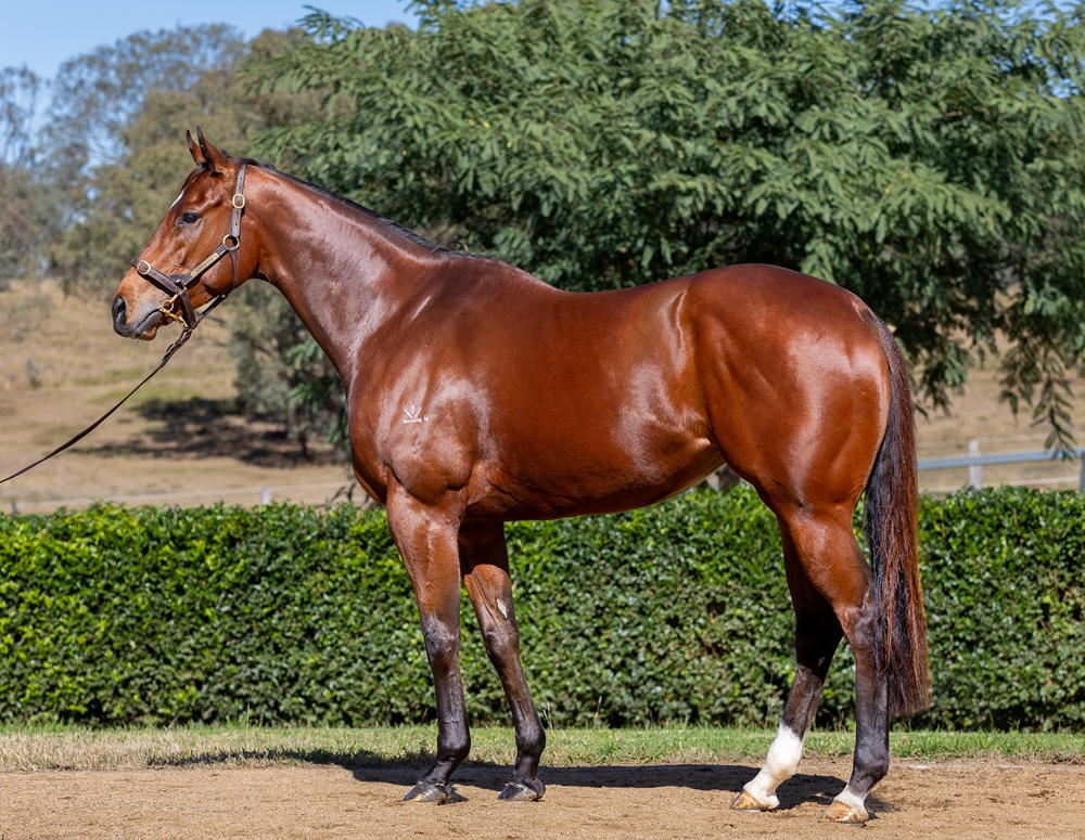 Skirt the Law (AUS) - Image 1