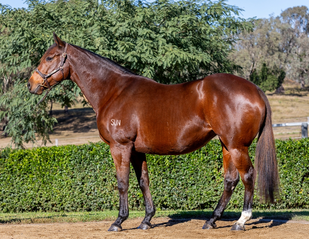 Batemans Bay (AUS) - Image 1