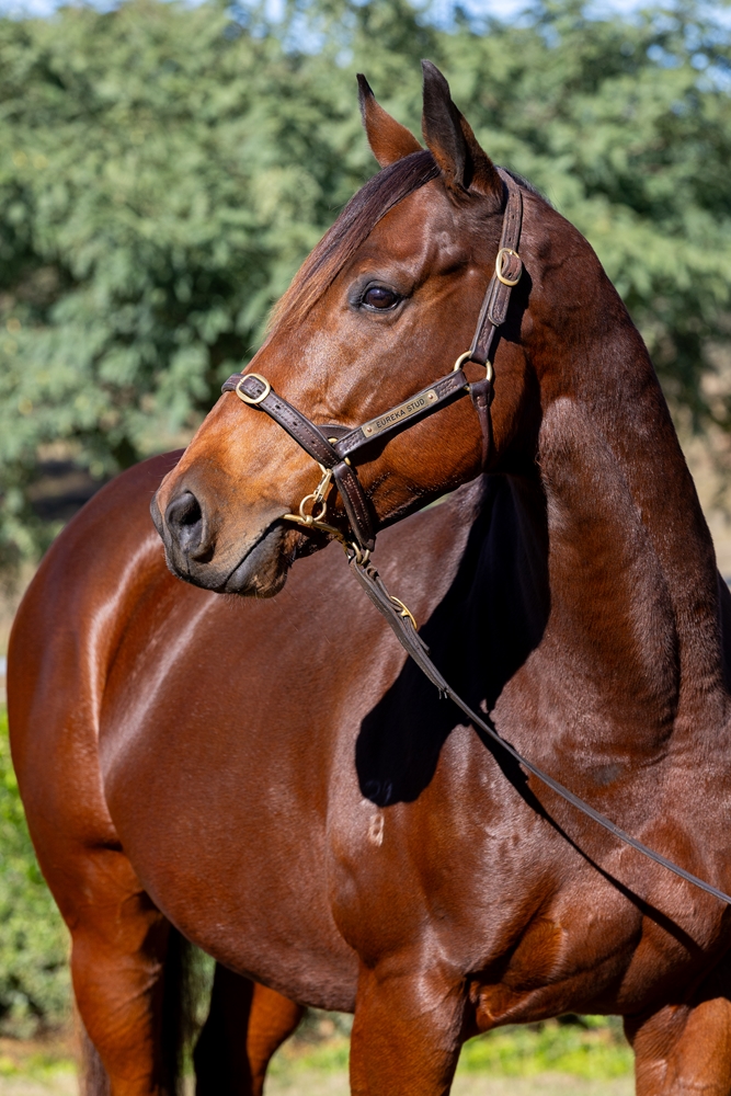 Batemans Bay (AUS) - Image 2