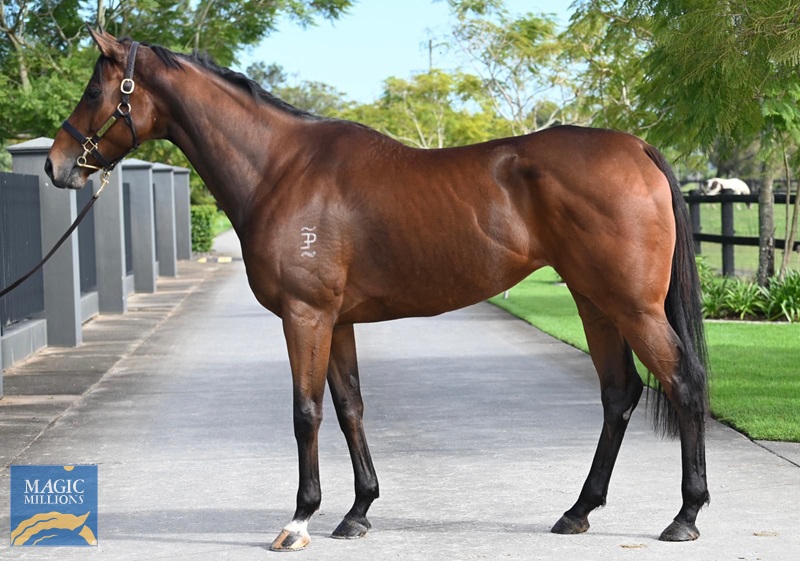 cc455638-dbb7-4470-a9aa-965178c5f466.jpg - Image 1