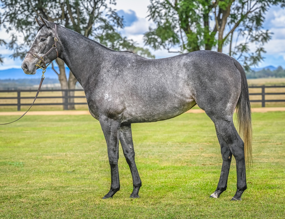 Heavenly Way (AUS) - Image 1