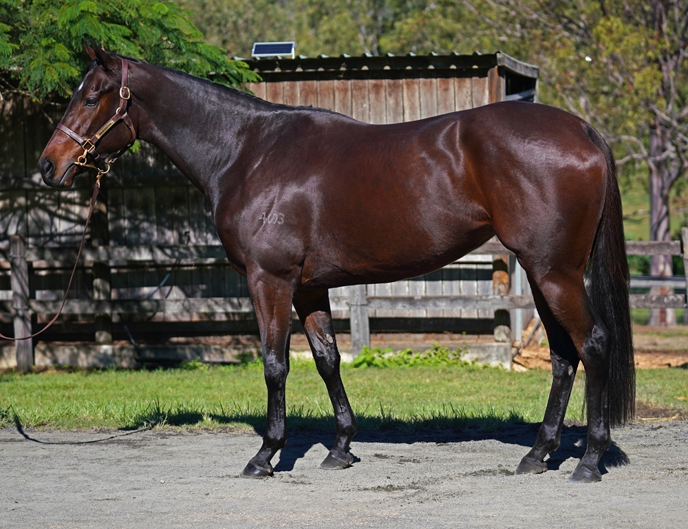 Liveingirlfriend (AUS) - Image 1