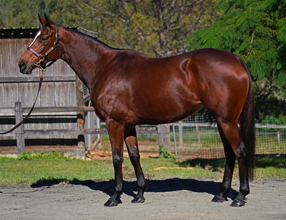 Bellaciaociao (FR) - Image 1