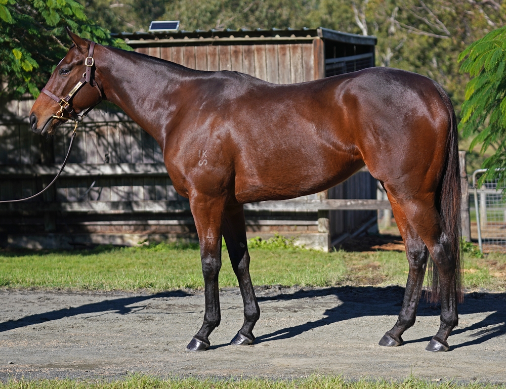 Blue Moves (AUS) - Image 1