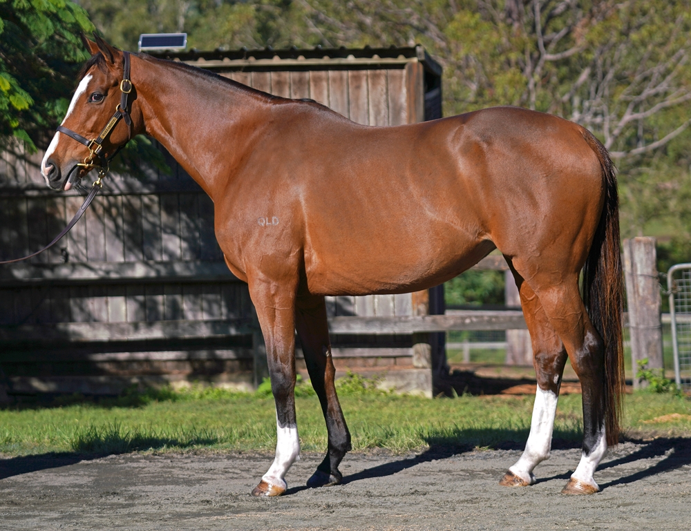 Divine Magic (GB) - Image 1